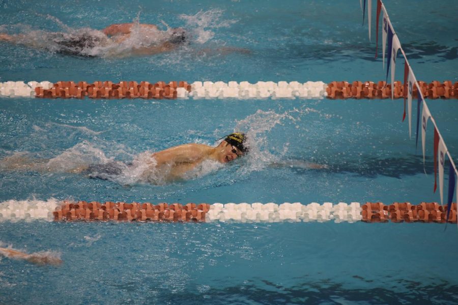 Kolos Nagy wins second in state finals swimming