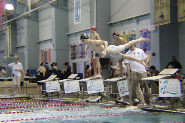 Navigation to Story: Swimming at State