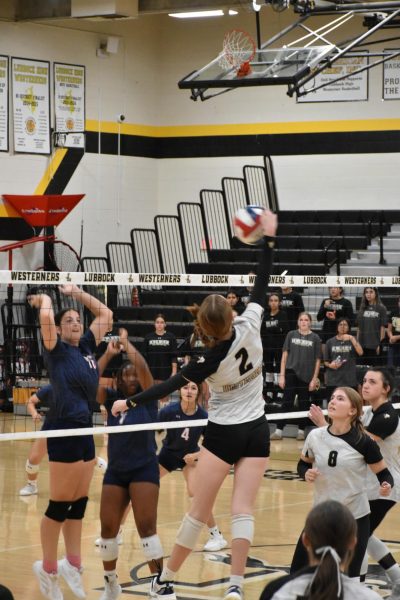 THE LADY WESTERNERS VOLLEYBALL RECAP